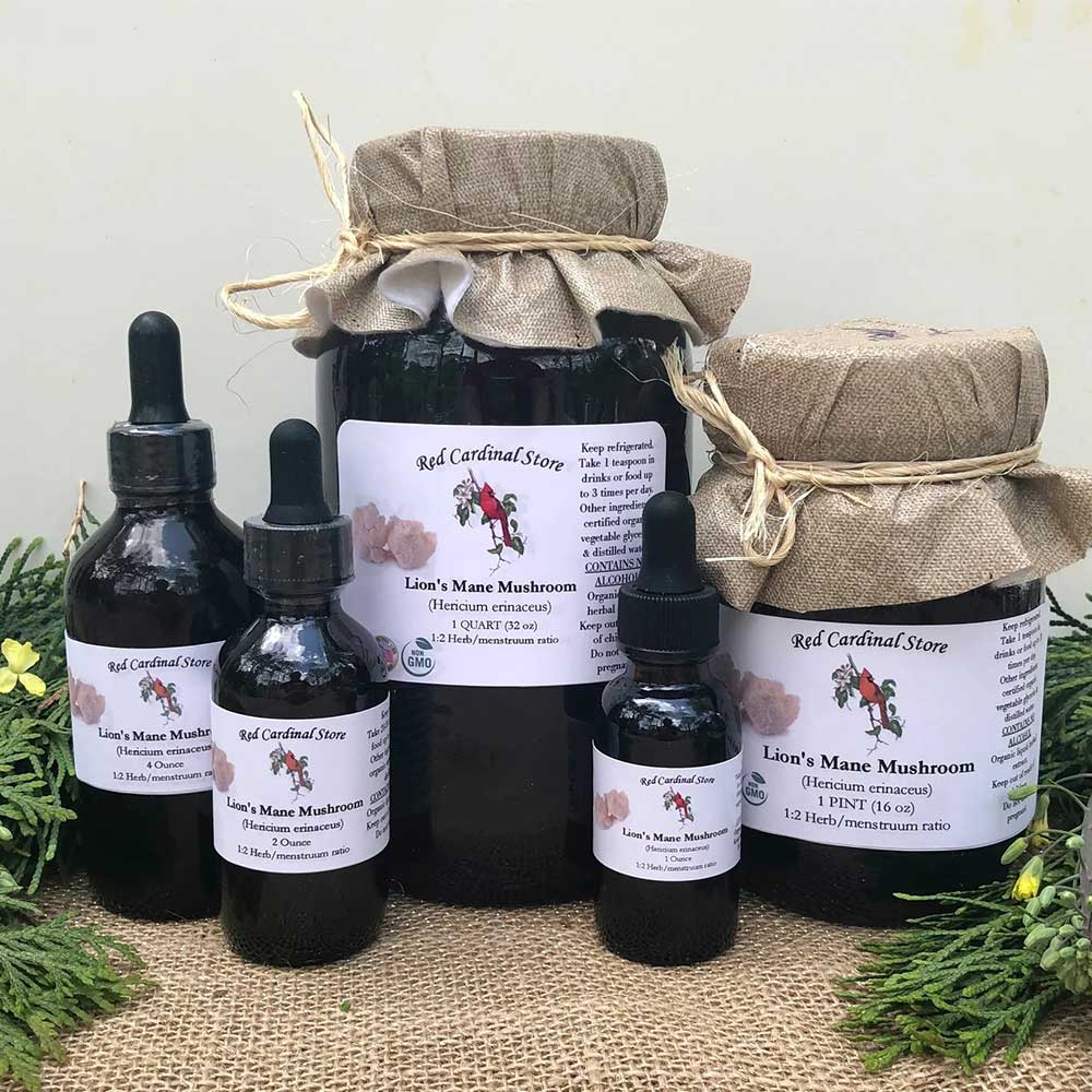 Lion's Mane Mushroom Tincture Herb Extract Double Extraction