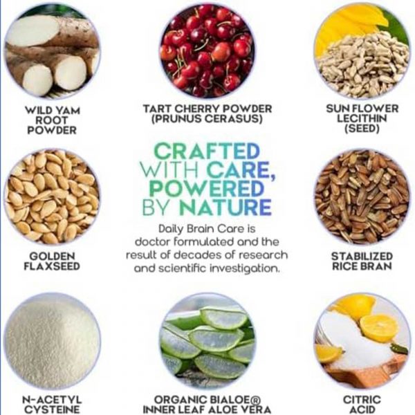 Brain Supplements for Memory and Focus - Image 6