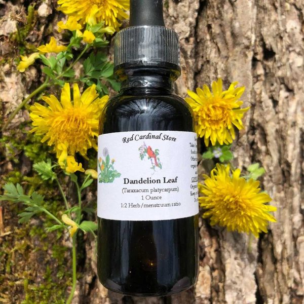 Dandelion Leaf Double Extraction Herbal Tincture Extract